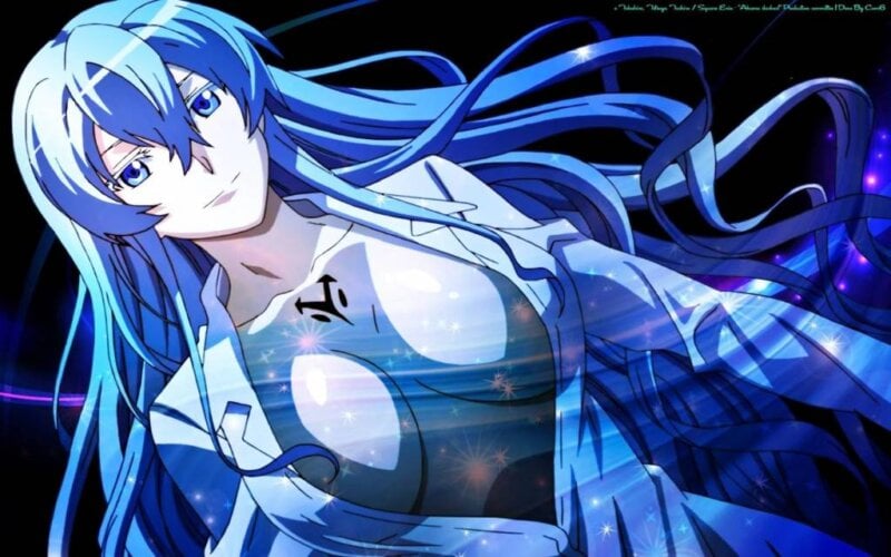 esdeath wallpaper boobs hot anime akame ga kill