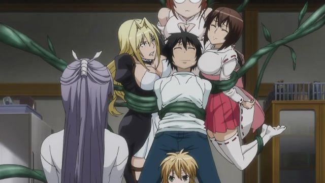 sekirei harem