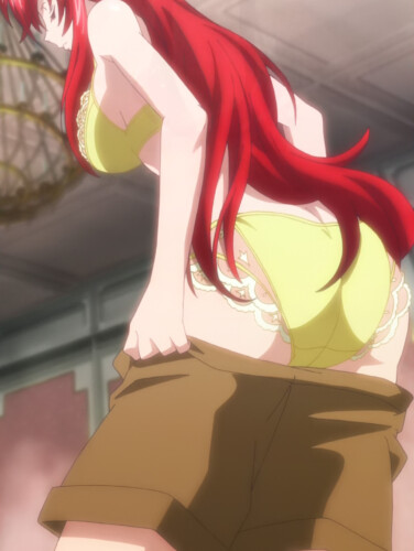 Rias Gremory Sexy Body Ecchi Dxd (16)