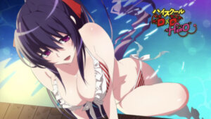 Akeno Dxd Sexy Waifu (1)