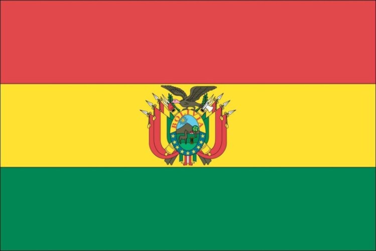 boliviaXflag