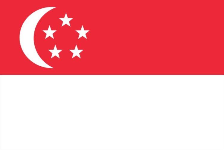 singaporeXflag