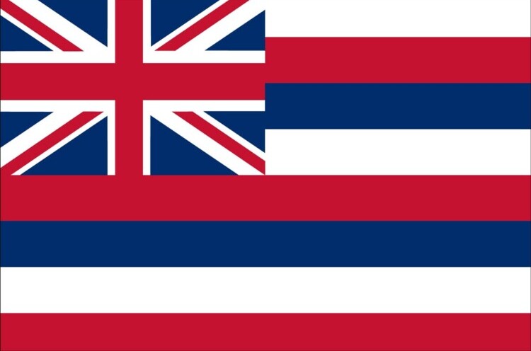 Data Reveals These 20 US States Secretly Enjoy The Most Hentai 28 hawaiiXflag e1753606211345