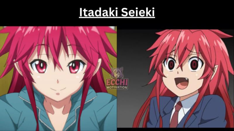 Itadaki Seieki